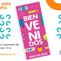 Lona para puerta Jessy