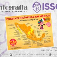 Pueblos Originarios (INFOGRAFÍA)