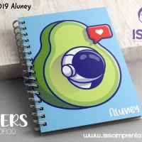 019 Aluney