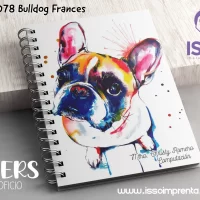 078 Bulldog Frances