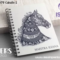 079 Caballo 2