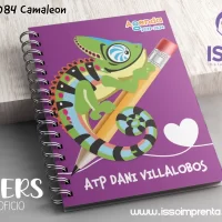 084 Camaleon