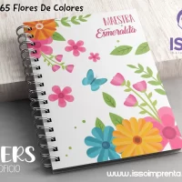 165 Flores De Colores
