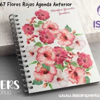 167 Flores Rojas Agenda Anterior