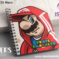270 Mario