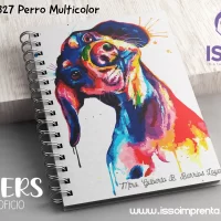 327 Perro Multicolor