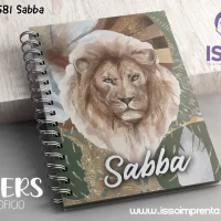 581 Sabba