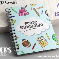 753 Rumualdo