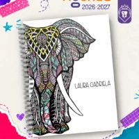 0144 Elefante Organi