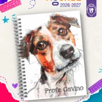 0662 Gavino