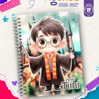 0896 Timi